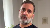 Can You Work Out At 11 PM? Here’s What Rahul Gandhi’s Fitness Routine Says Can You Work Out At 11 PM? Here’s What Rahul Gandhi’s Fitness Routine Says
