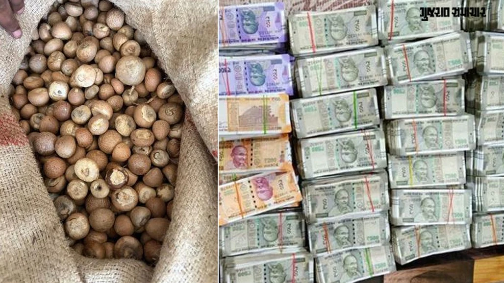 Nine Arrested as DRI Unearths ₹2,500 Crore Betel Nut Import Fraud