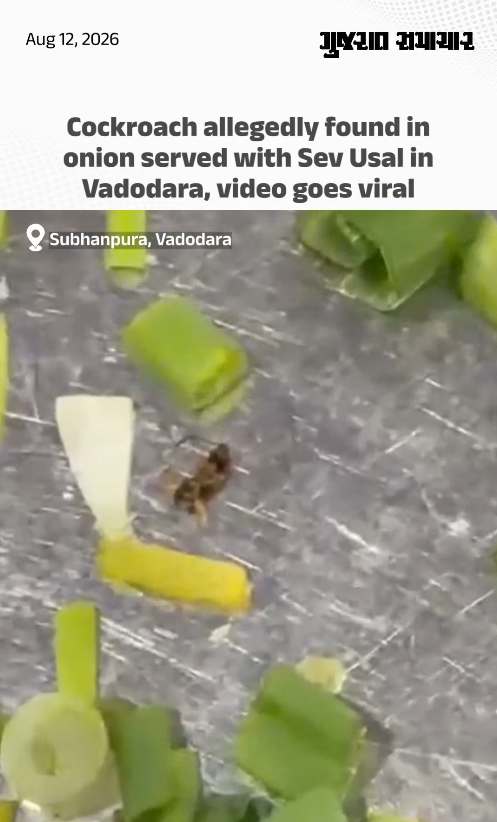Cockroach allegedly found in onion served with Sev Usal in Vadodara, video goes viral
