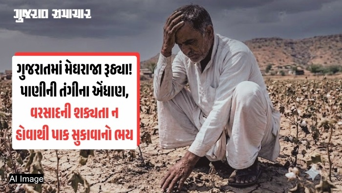 ગુજરાતમાં વરસાદ ખેંચાતાં ખેડૂતોની હાલત કફોડી: કચ્છ-સૌરાષ્ટ્રમાં 30% ઘટ, જાણો કયા જિલ્લાઓમાં સર્જાશે પાણીની તંગી?