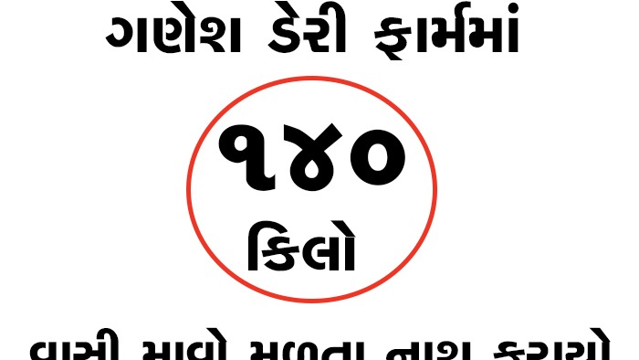 ગણેશ ડેરી ફાર્મમાં 140 કિલો વાસી માવો મળતા નાશ કરાયો