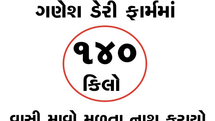રાજકોટમાં ગણેશ ડેરી ફાર્મમાં ૧૪૦ કિલો વાસી માવો મળ્યો