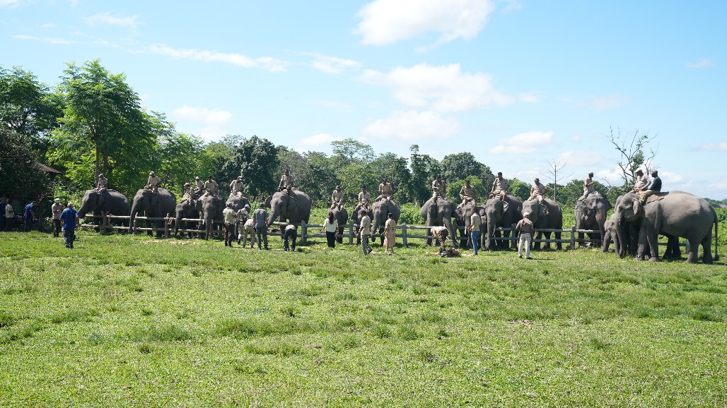 AB_04008.JPG