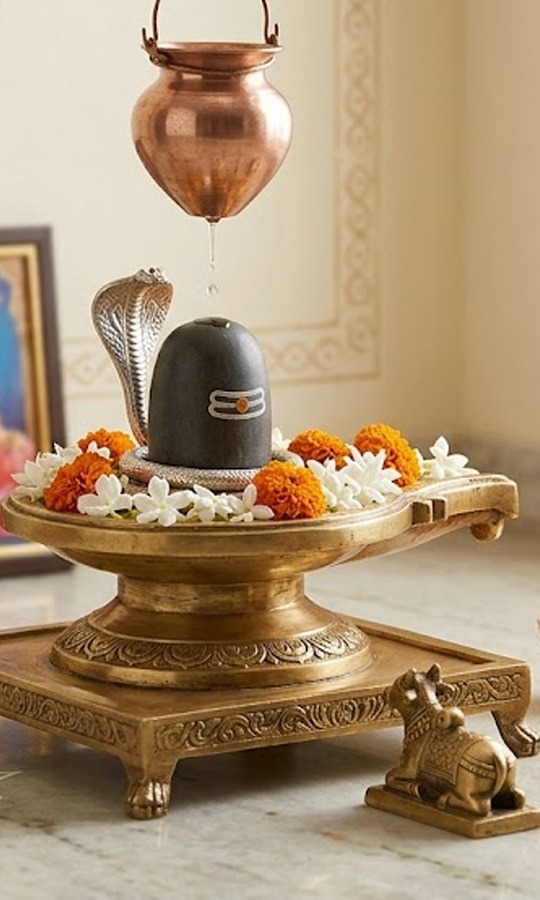 Vastu Tips: શ્રાવણમાં ઘરમાં શિવલિંગ સ્થાપિત કરતી વખતે રાખો આ વાતોનું ધ્યાન