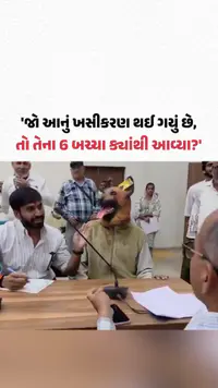 'જો આનું ખસીકરણ થઈ ગયું છે, તો 6 બચ્ચા ક્યાંથી આવ્યા?', MPના ખંડવામાં અનોખો વિરોધ 'જો આનું ખસીકરણ થઈ ગયું છે, તો 6 બચ્ચા ક્યાંથી આવ્યા?', MPના ખંડવામાં અનોખો વિરોધ