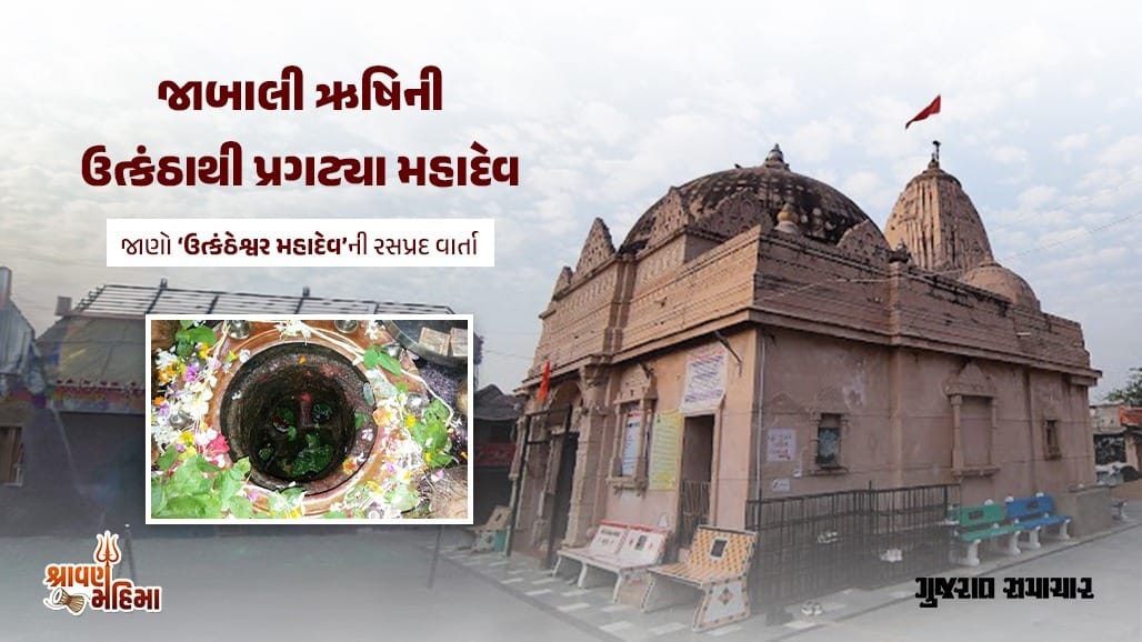 ‘ઊંટના પગના તળિયા’ જેવા આકારનું શિવલિંગ!