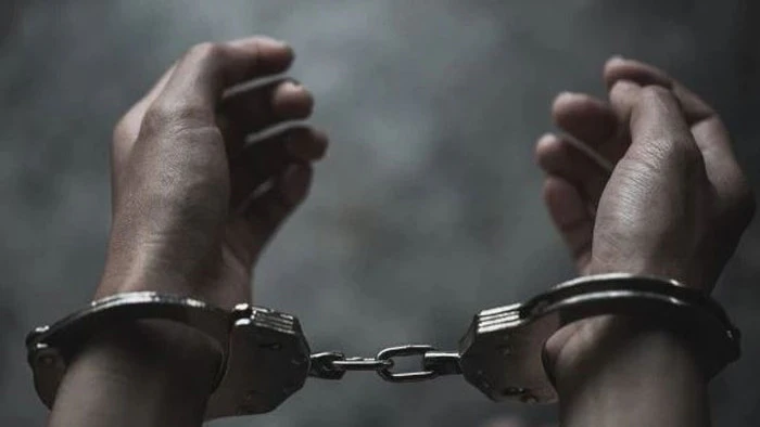Jamnagar Police Bust Online Cricket Gambling Operation, Arrest One