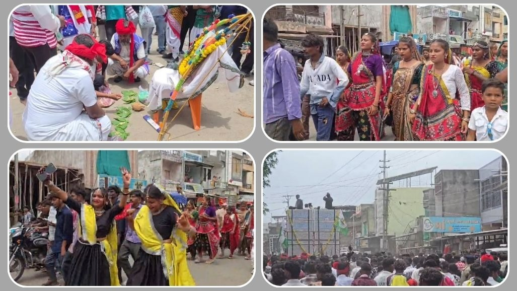 નસવાડીમાં વિશ્વ આદિવાસી દિવસની ભવ્ય ઉજવણી; પરંપરાગત વેશભૂષા, નૃત્ય અને ડીજેના તાલે નીકળી વિશાળ રેલી