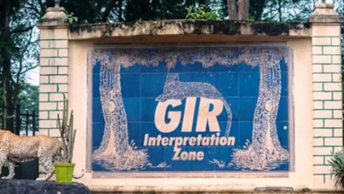 BJP Junagadh District Panchayat Member Fined ₹2.97 Lakh For Illegal Farmhouse In Gir Eco-Sensitive Zone