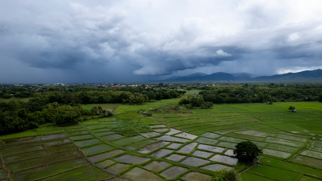 Rain Activity to Continue Across Gujarat Till August 12, No Warnings Issued