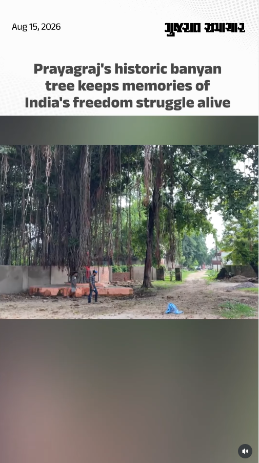 Prayagraj's historic banyan tree keeps memories of India’s freedom struggle alive