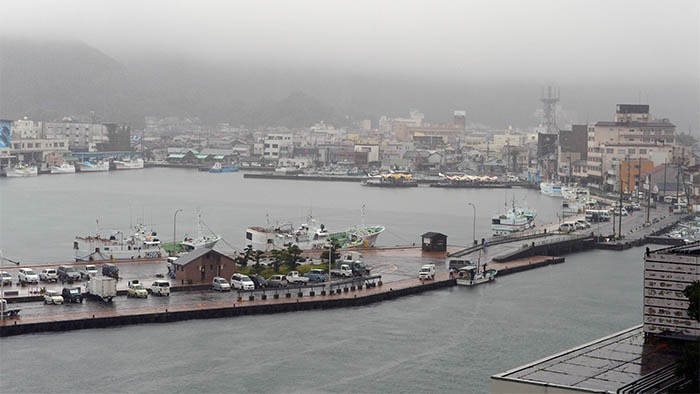 JAPAN TYKOON VAVAJODU.jpg