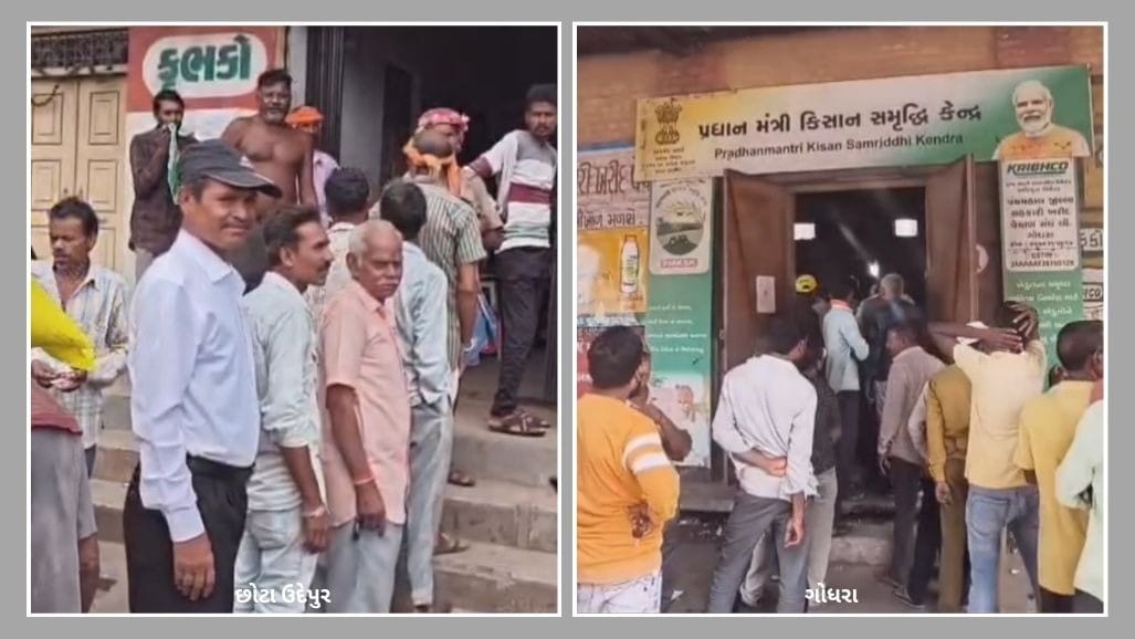 ચોમાસામાં ખાતરની અછત: છોટા ઉદેપુર અને ગોધરામાં ખેડૂતોને ભારે હાલાકી