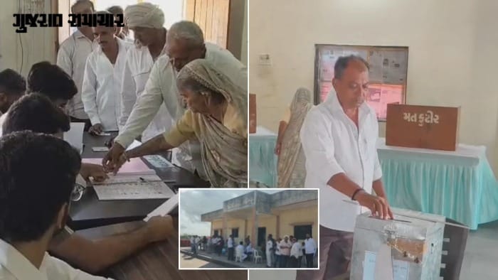બાબરા APMCની ચૂંટણી માટે મતદાન