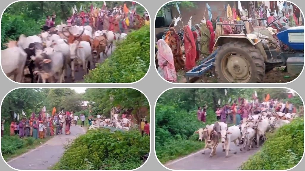 મેઘરાજાને રીઝવવા અનોખી પરંપરા, ગુજરાતના બે ગામની મહિલાઓએ પુરુષોનો વેશ ધારણ કરી ગાયોને વાળી