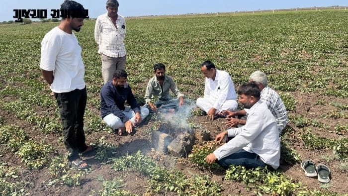 કચ્છ-સૌરાષ્ટ્રને દુષ્કાળગ્રસ્ત જાહેર કરવાની માગ તીવ્ર બની