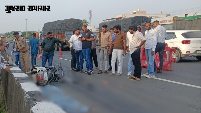 વલસાડ: પારડી હાઇવે પર ગમખ્વાર અકસ્માતમાં સાસુ-વહુના મોત, ખરીદી કરી મોપેડ પર પાછા ફરતા સમયે કન્ટેઇનરે ટક્કર મારી