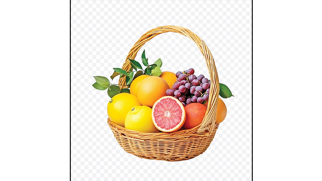 ફલાહાર રોગોપચારમાં સહાયક