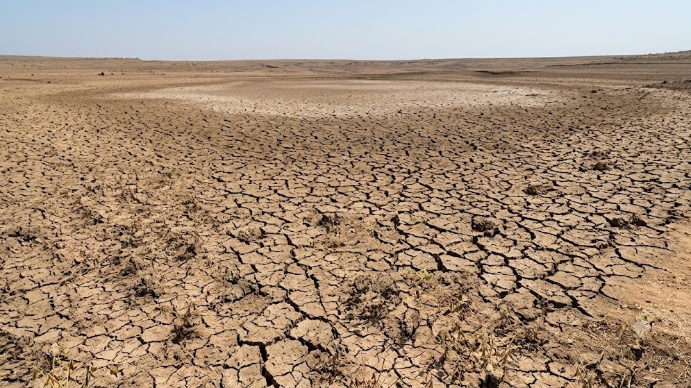 'Pacific Ocean Continues to Boil': How WMO's 100% El Nino Alert Threatens India's Monsoon