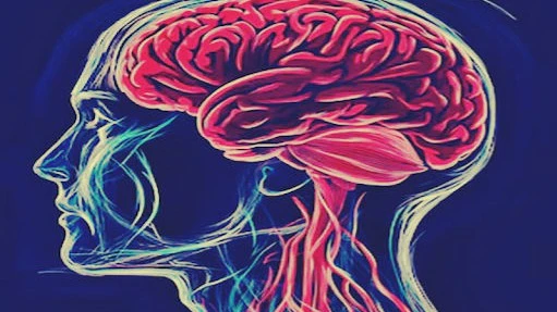Gujarat Sees 25.5% Surge in Stroke Cases; Pollution, Hypertension Among Key Risk Factors