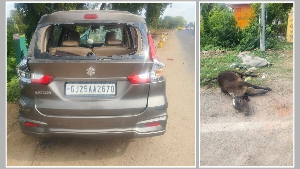 બગોદરા-બાવળા હાઈવે પર કાર પશુઓ પર ફરી વળી