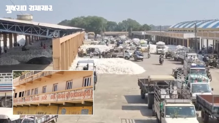અમરેલી બાબરા APMC ચૂંટણી: ખેડૂત પેનલની 10 બેઠકો માટે 28, વેપારી પેનલની 4 બેઠકો માટે 13 ઉમેદવારીપત્રો ભરાયા