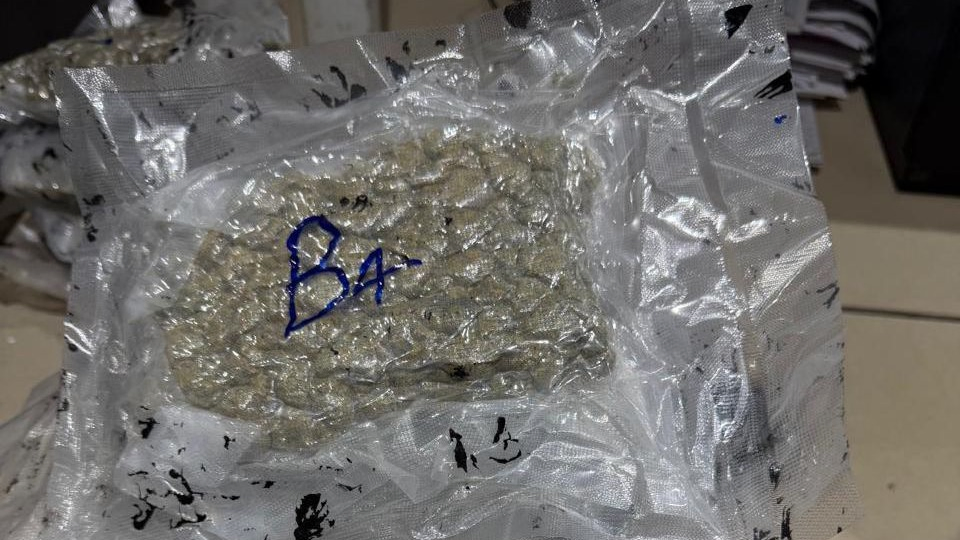 Ahmedabad Customs Seize 1.9 Kg Hydroponic Marijuana Worth ₹1.9 Crore, Couple Arrested