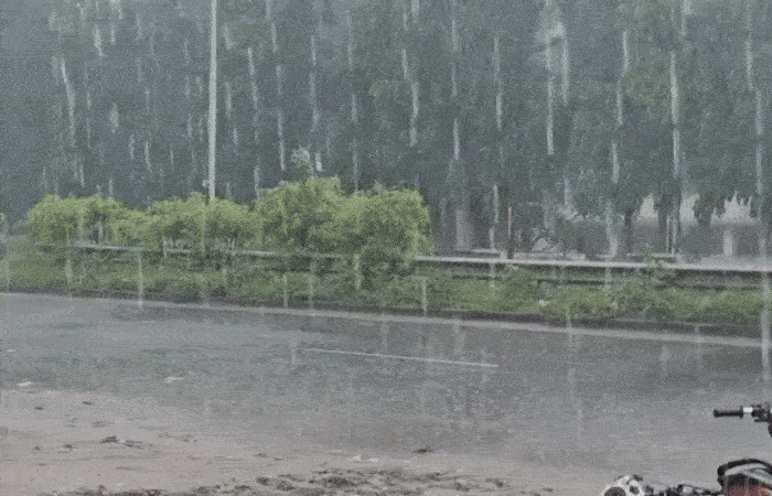 Ahmedabad Crosses 100% Seasonal Rainfall Mark After Saturday Showers