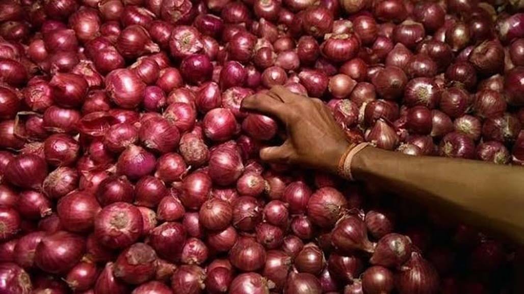 નાસિકમાં ડુંગળીના ભાવમાં ફરી તેજી