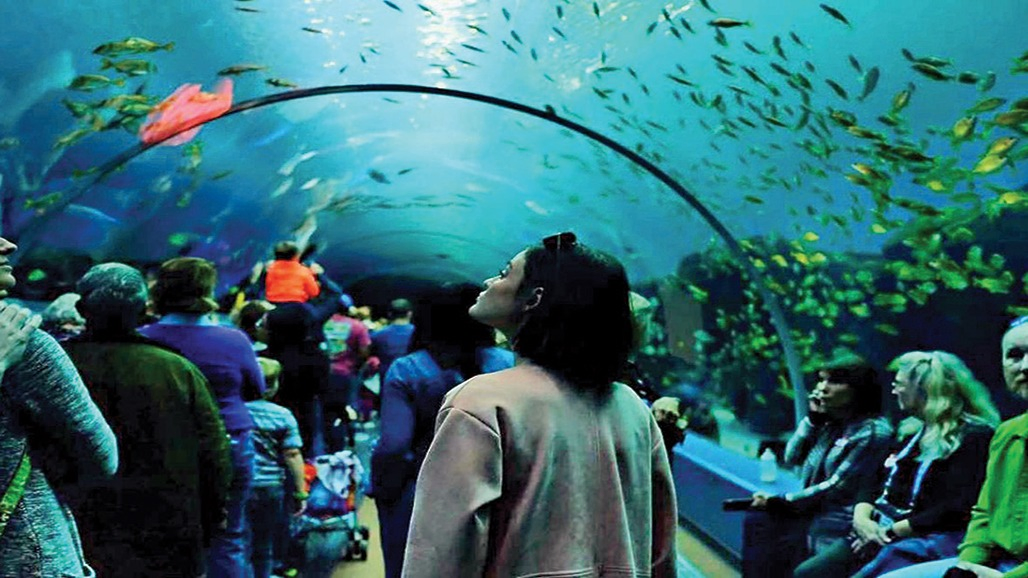 The World's Largest Aquarium