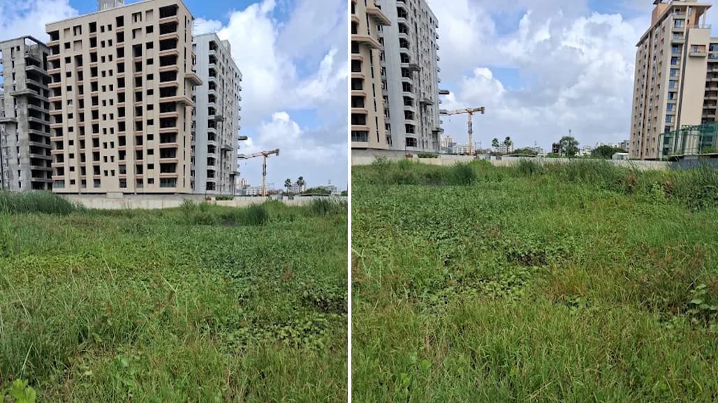 સુરત પાલિકાના રિઝર્વ પ્લોટમાં મચ્છરોનું સામ્રાજ્ય