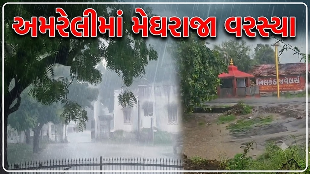 અમરેલી જિલ્લામાં મેઘરાજાની જમાવટ: લાઠી-સાવરકુંડલામાં ધોધમાર વરસાદથી ખેડૂતોમાં ખુશીની લહેર