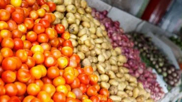 No Middlemen, Lower Prices: Dehgam Farmer Market Sells 14 Tonnes in Two Days
