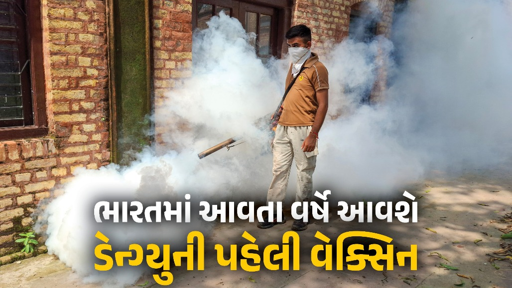 ભારતમાં ડેન્ગ્યુની પહેલી વેક્સિનને મંજૂરી અપાયા બાદ મોટો નિર્ણય, આવતા વર્ષે મળશે ડોઝ, 6 વર્ષમાં 10.78 લાખ કેસ, 1572 મૃત્યુ