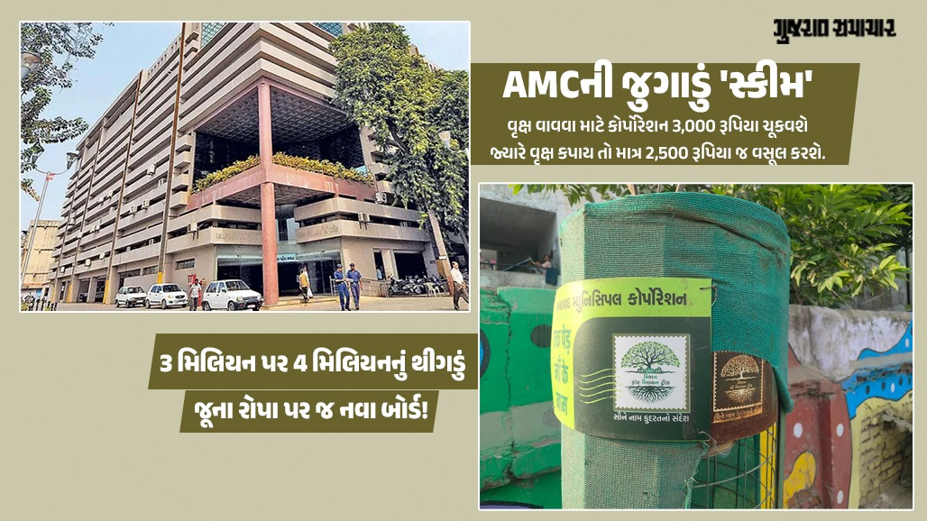 AMCનું અણઘડ ગણિત! કેચ ફાઉન્ડેશન પાસે 3,000માં વૃક્ષ વવડાવશે, જ્યારે કાપેલા વૃક્ષ માટે માત્ર 2,500 રૂપિયાની વસૂલાત