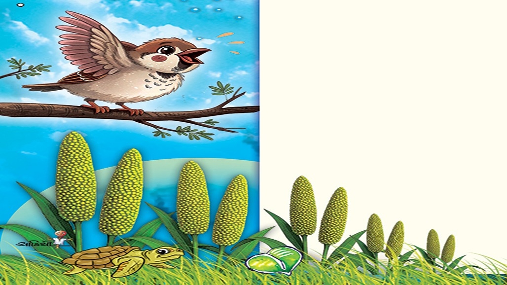બાજરાનો દાણો