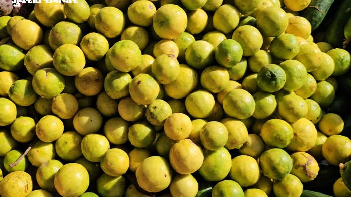 After Sugar, Lemon Prices Soar to ₹240–260 Per Kg in Ahmedabad