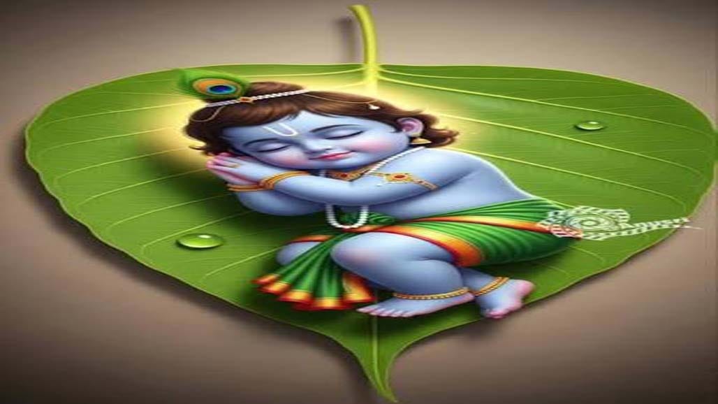 શીતળા સાતમની ઉજવણી અને શ્રીકૃષ્ણ જન્મોત્સવના વધામણા: તહેવારોનો ઉત્સાહ