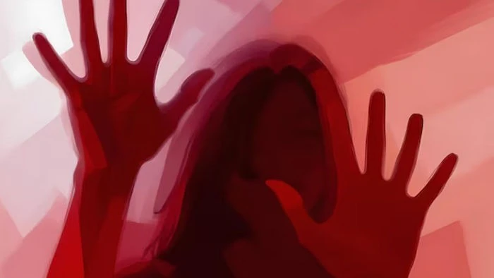 Sardarnagar Domestic Violence: Woman Attacked by In-Laws with Brick and Knife Upon Return Home