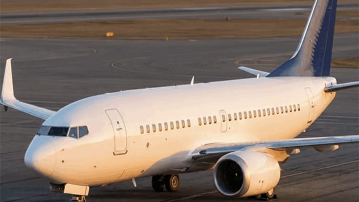 બોઈંગ 737 મેક્સ વિમાનોમાં સોફ્ટવેર ખામી