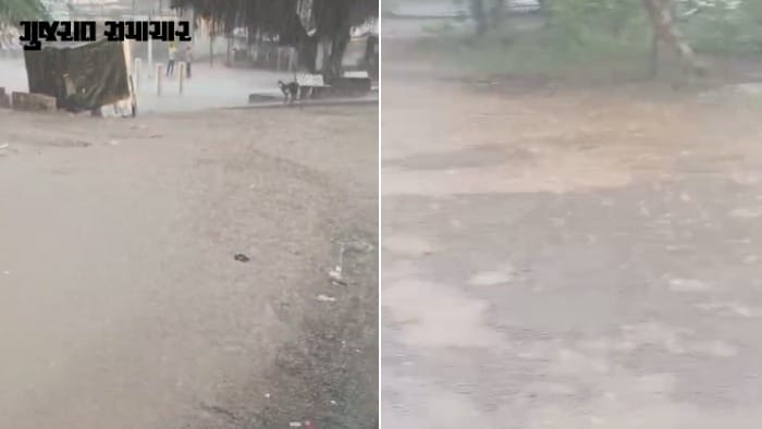 અમરેલી અને દેવભૂમિ દ્વારકામાં વરસાદ: ખેડૂતોમાં આશા, ઘટ વચ્ચે મેઘમહેર