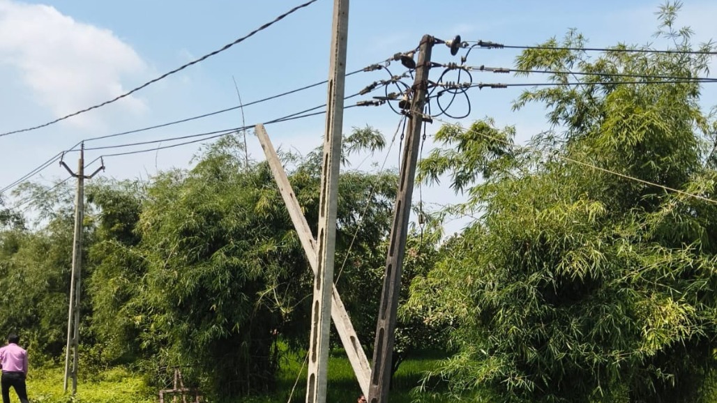 Two Labourers Electrocuted to Death in Gujarat's Valsad After Power Pole Touches High-Tension Wire