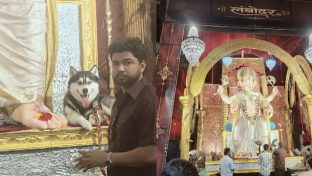 Ahmedabad Hosts First-Ever Pet-Friendly Ganpati Aarti at Lal Darwaja Cha Lambodar