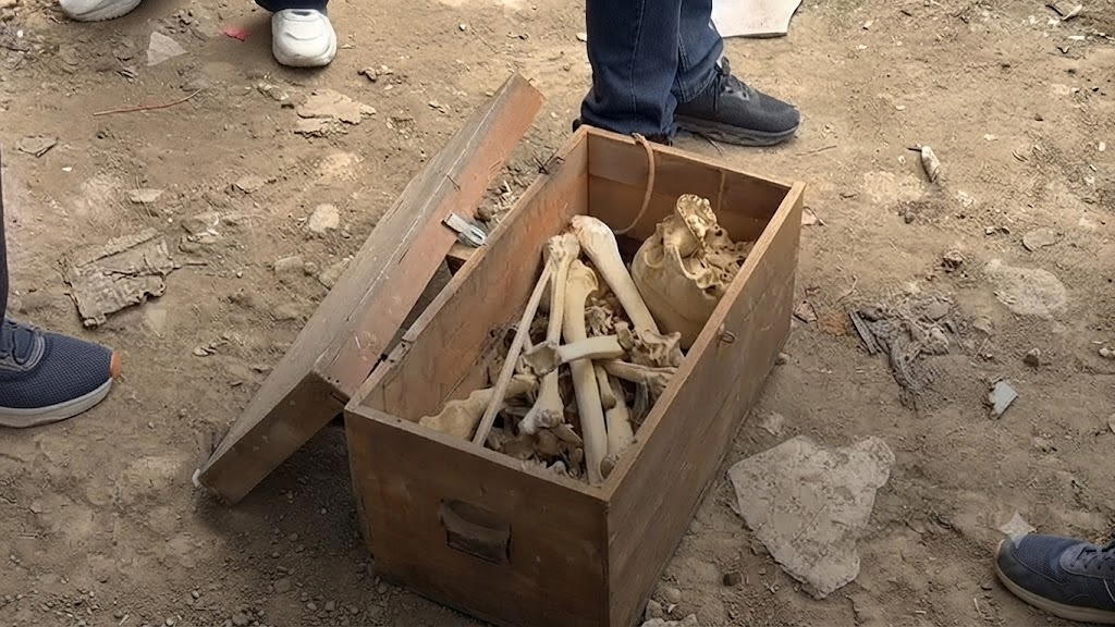 Delhi Clean-Up Drive Turns Into Mystery After Skeleton-Like Structure Found In Scrap