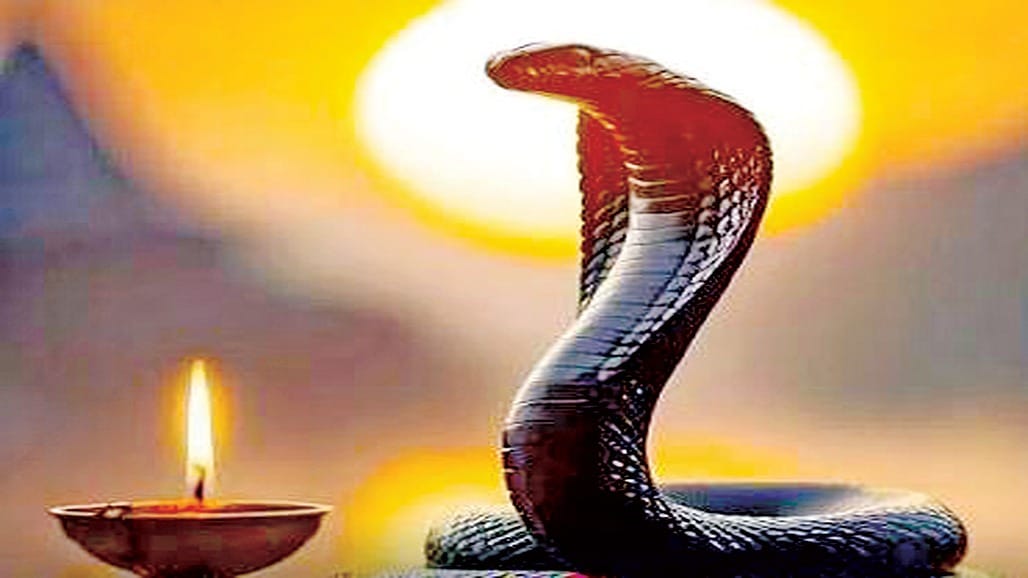 સાપ: પૂજા, ડર અને અનેક સંસ્કૃતિઓમાં સ્થાન