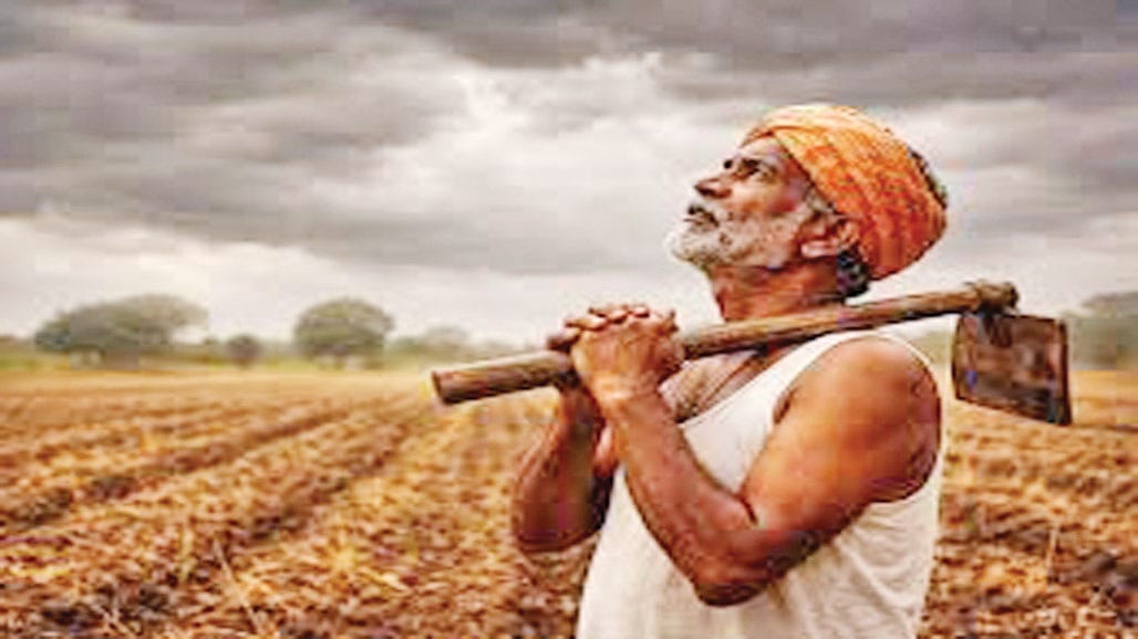ખરીફ પછી હવે શિયાળુ પાક પર પણ દુષ્કાળનું જોખમ