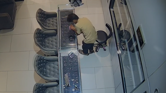 Sales Executive Arrested for Stealing ₹5.9 Lakh Jewellery From Palladium Mall Store