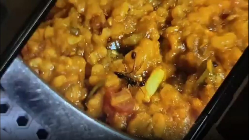 વડોદરાની કિસ્મત કાઠિયાવાડી હોટલમાં વઘારેલી ખીચડીમાંથી મકોડા મળ્યા