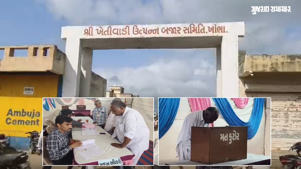 ખાંભા APMC ચૂંટણી: ભાજપ, કોંગ્રેસ અને બળવાખોરો વચ્ચે ત્રિપાંખિયો જંગ