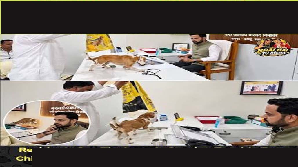 કૂતરાઓના ત્રાસ સામે નાગરિકોનો અનોખો વિરોધ